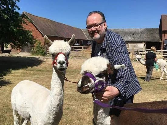 Middle England Farm Alpacas