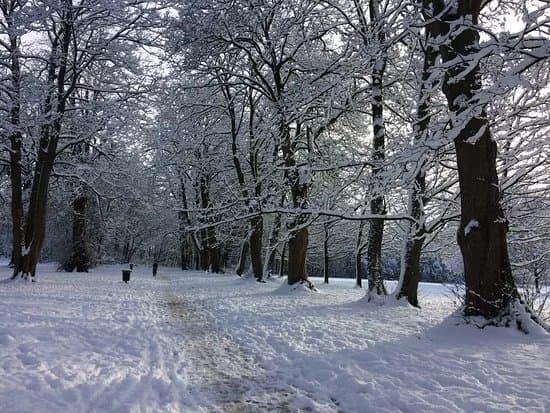 Dorridge Park