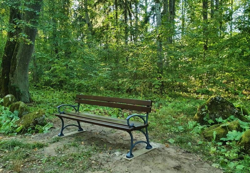 Renavo dvaro rumai ir parkas