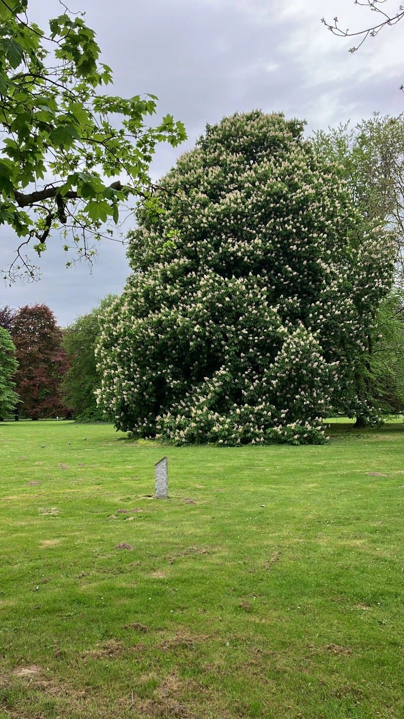 Stadtpark Lebenstedt