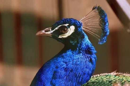 Vogelpark Hassloch