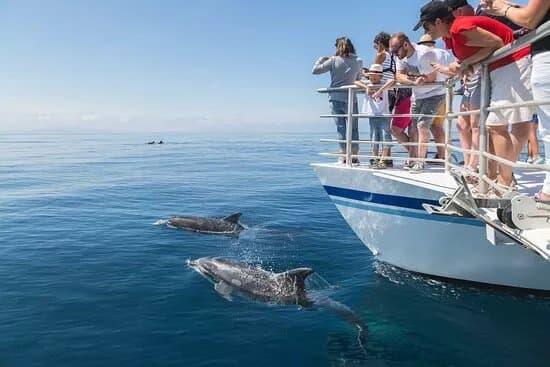 Explore ocean