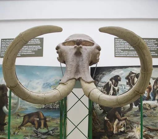 Institute for Nature Conservation