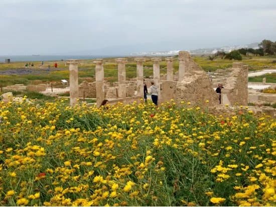 Kato Paphos Archaeological Park