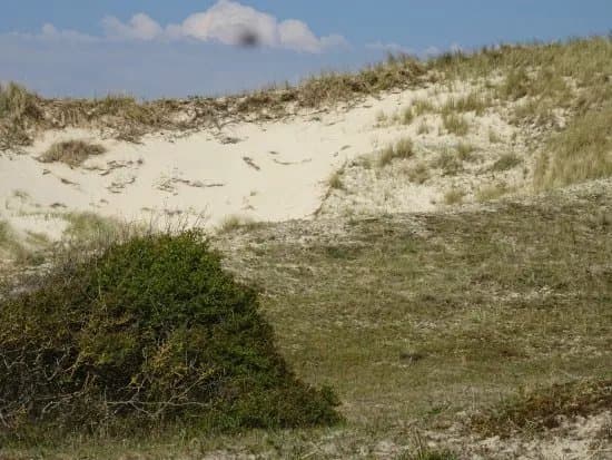 Noordhollands Duinreservaat