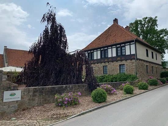 Hamelner Golfclub
