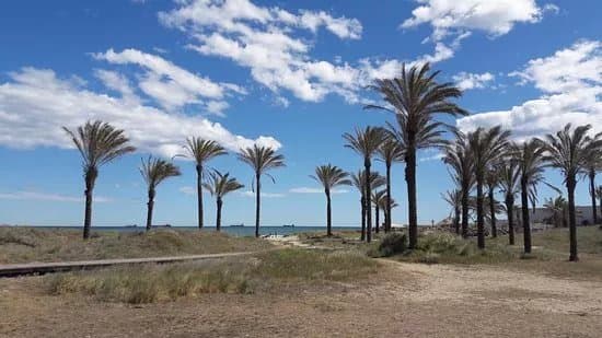 Playa Del Pinar
