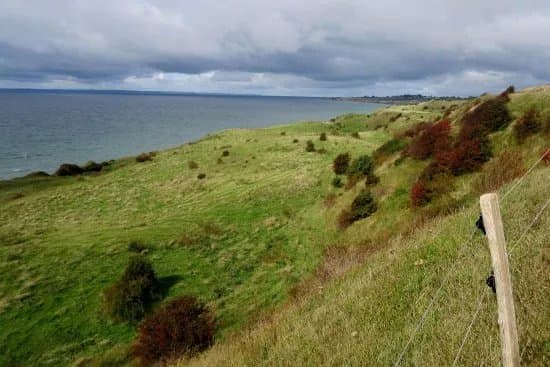 Voderup Klint