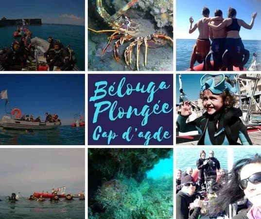 Belouga Plongee