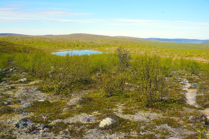 Paistunturi Wilderness Area