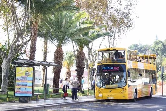 Yellow Bus Tours Funchal