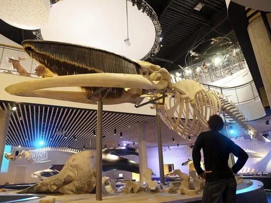 Naturama