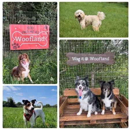 Woofland Dog Park