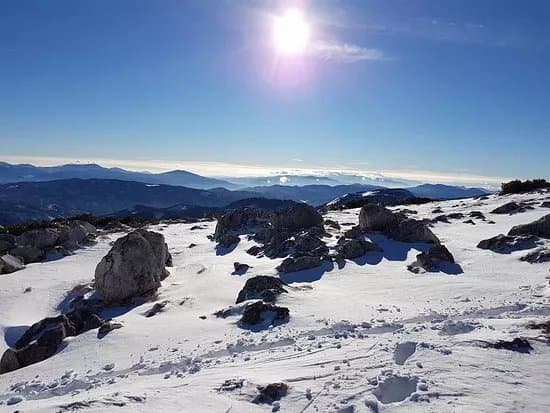 Brunnalm Hohe Veitsch