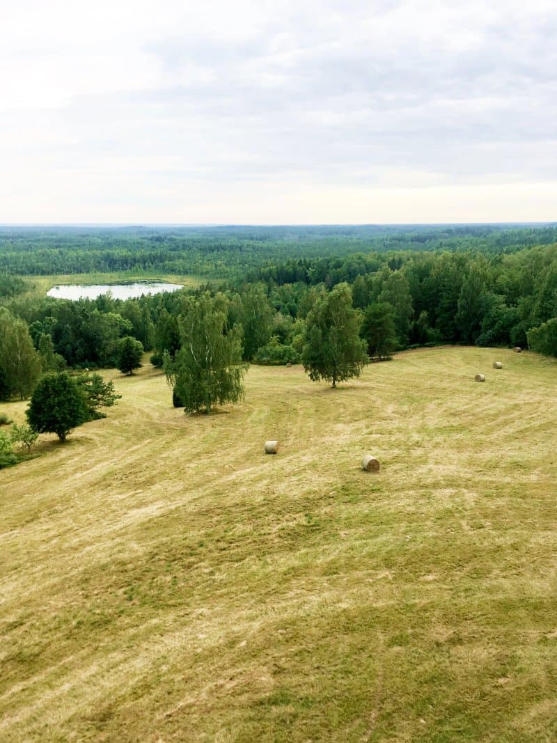 Numerne Watchtower