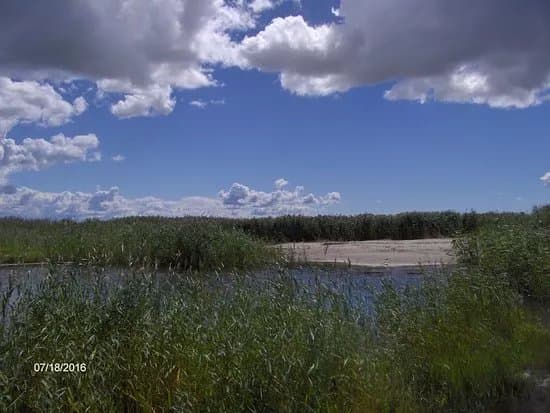 Parnu Coastal Meadow Protection Area