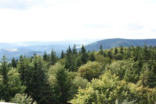 Bukowa Kalenica Sanctuary