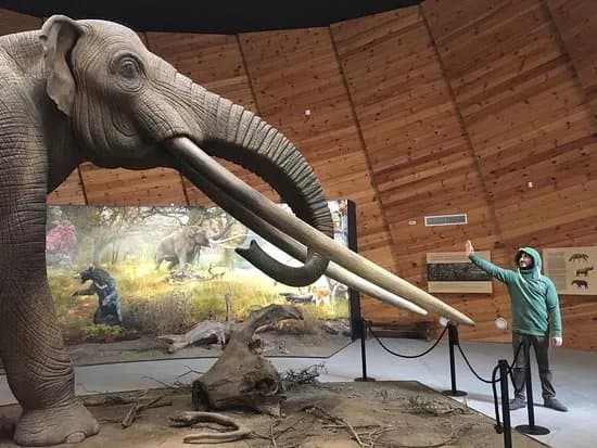 Pliocene Park