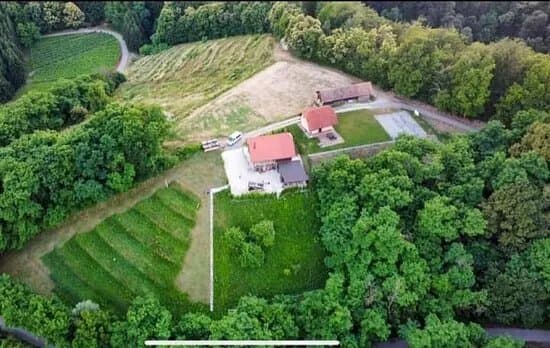 Obstacle Course Academy Slovenia