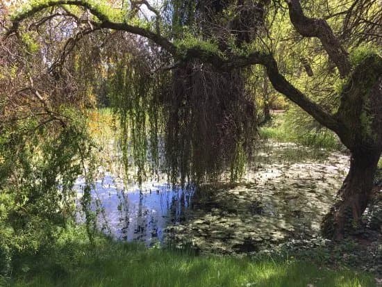 Erdotelki Arboretum