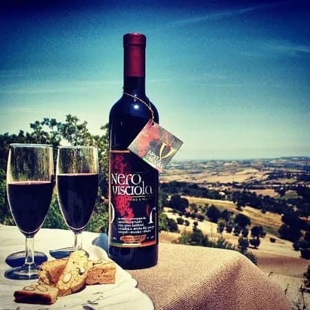 Azienda Agricola Antinori Gino