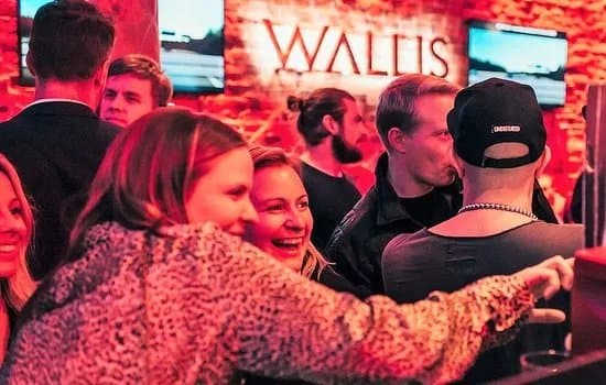 Wallis' Skatta Karaoke Bar