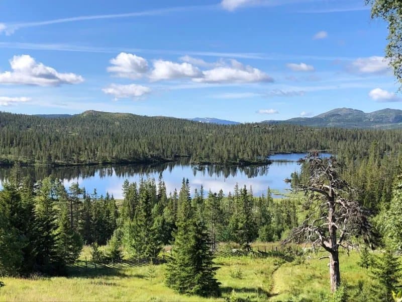 Tuddal Hogfjellshotel