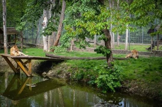 Zoo Sosto