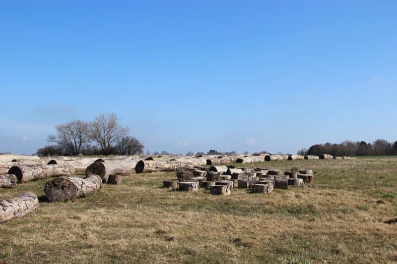 Nordskoven