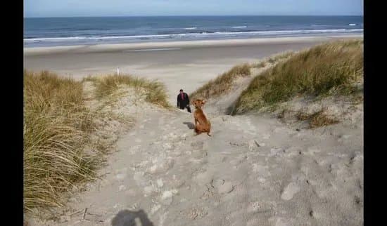 Vejers Strand