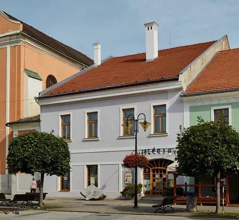 Galeria Banickeho muzea