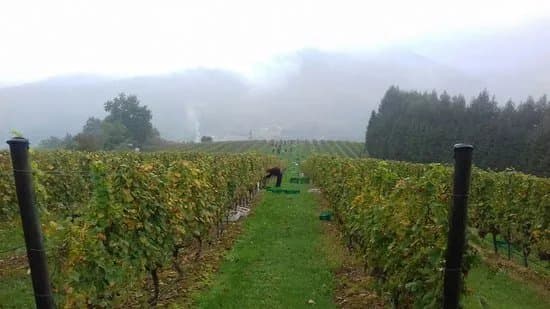 Bodegas Itsasmendi