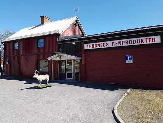 Thorneus Renprodukter