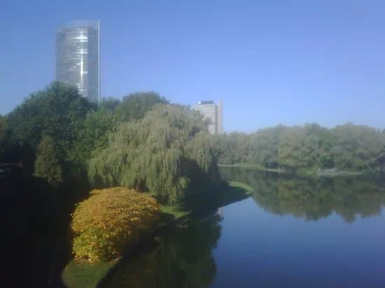 Rheinaue