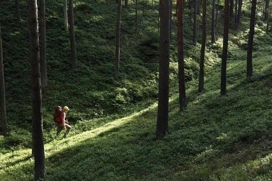 Baltic nature travel