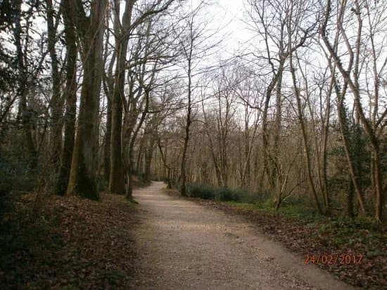Domaine de la Burthe