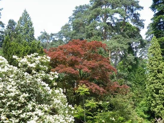 Arboretum Novy Dvur