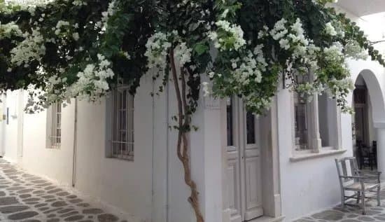 Yria Ceramic Studio