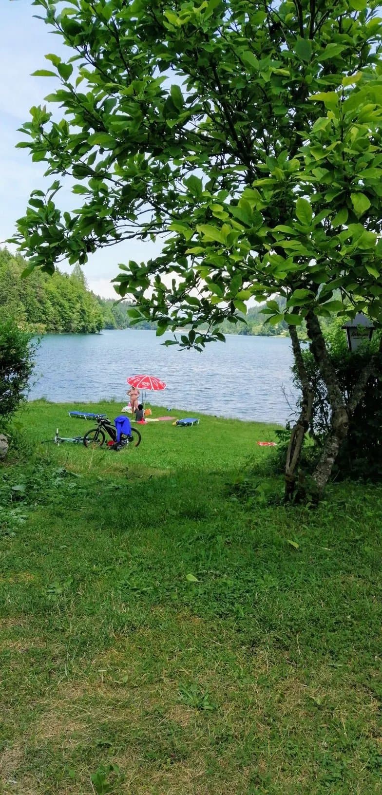 Naturjuwel Freibach-Stausee