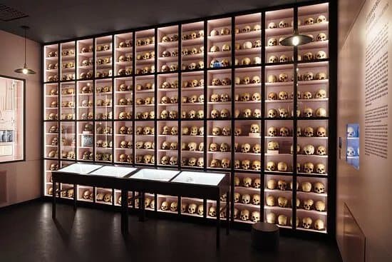 RSU Anatomy Museum
