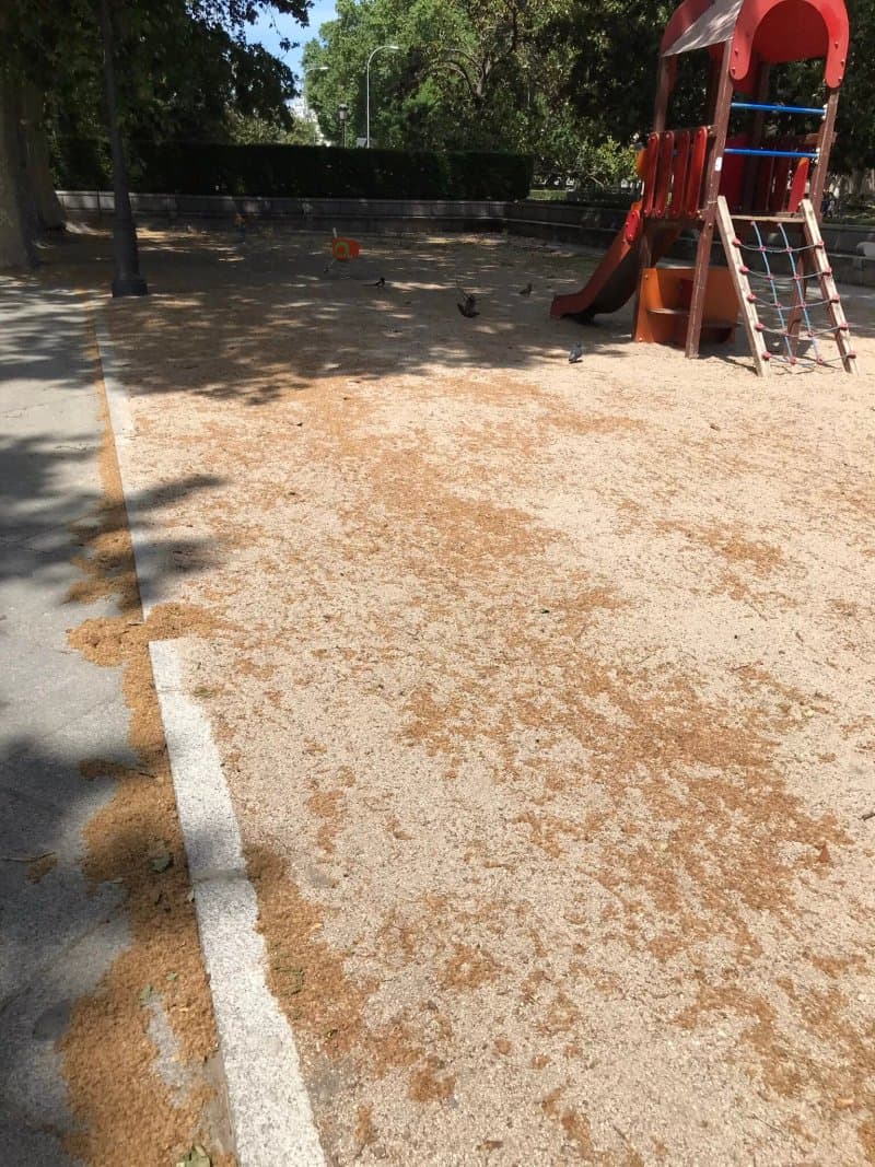 Parque Infantil Paseo Del Prado
