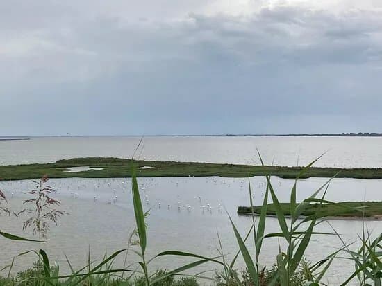Oasi Di Boscoforte