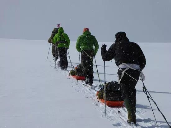 Mountaingoat Guiding Glaciertrip