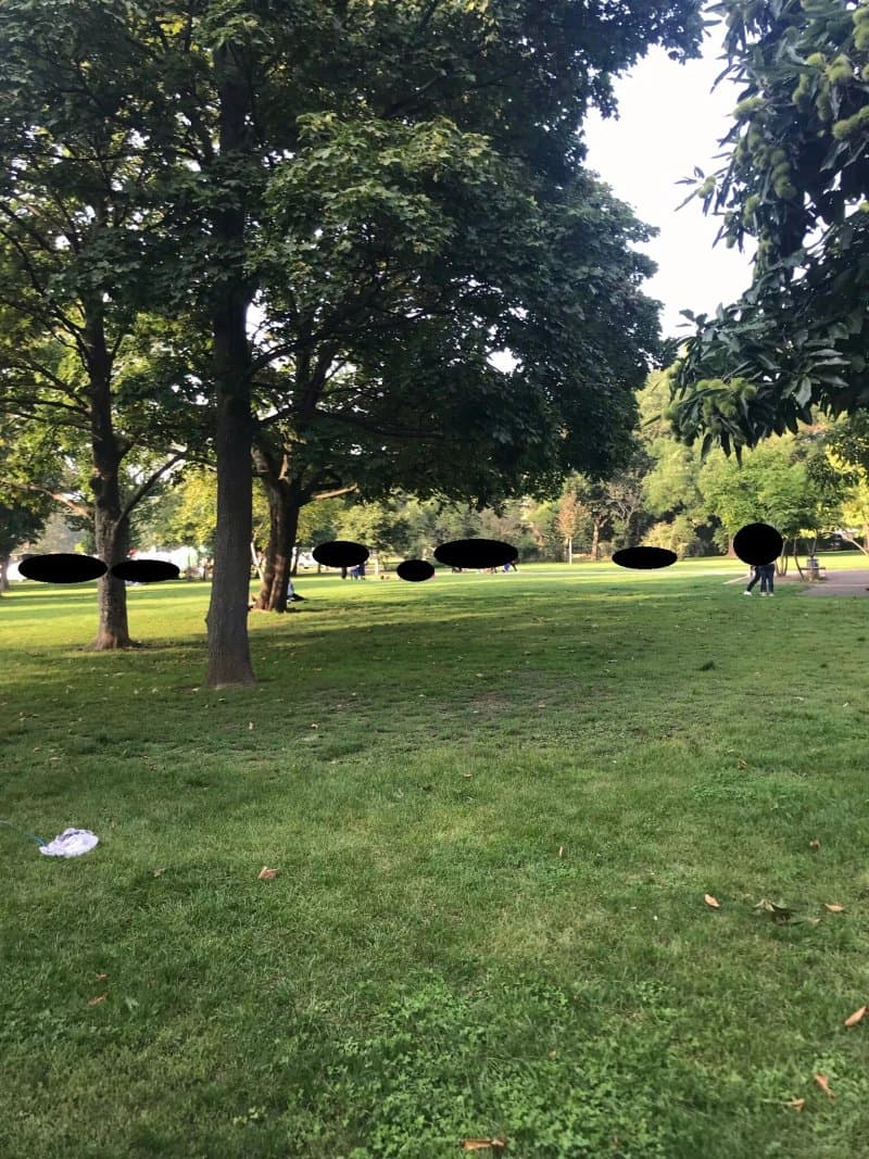 Alaunpark