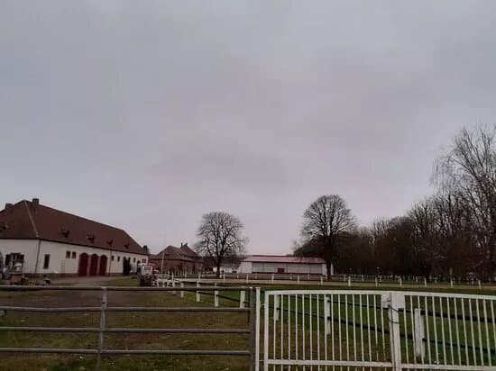 Landgestut Zweibrucken