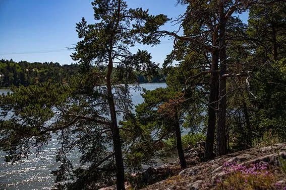 Naantali Camping