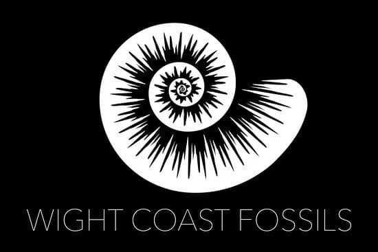 Isle of Wight Fossil Walks- Wight Coast Fossils