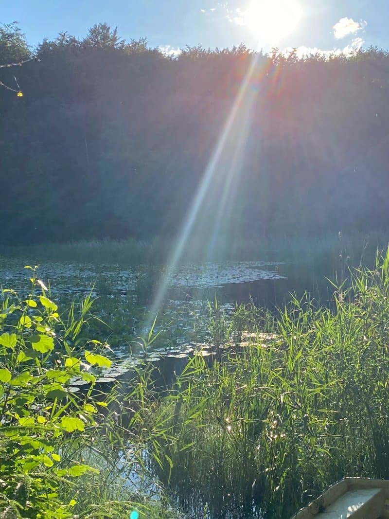 Skovly Camping