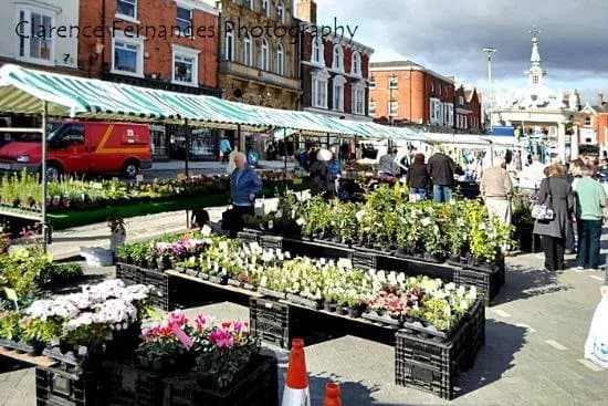 Beverley Saturday Market