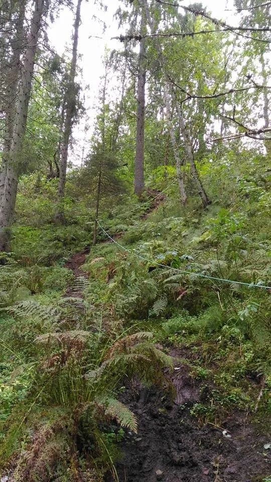 Vestlandske Hovedvei Kongeveien